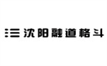 <沈阳柔道柔术>沈阳融道格斗