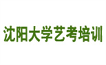 <沈阳播音主持>沈阳大学艺考培训